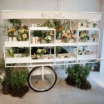 Carrinho Doce Isabella