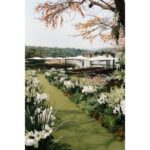 Ombrelone Lateral com Cachepot