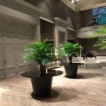 Tampo Vidro Preto Bisotê com Base Cone