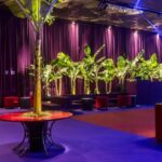 Tampo Laca com Furo e Bacia com Base Bambu