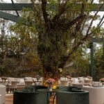 Poltrona Pat Capa Veludo Inca Verde