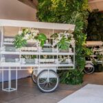 Carrinho Doce Isabella