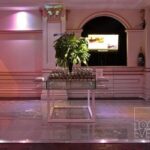 Pista de Dança Holográfico Globo Cromado