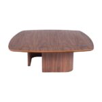 Mesa Amazônia Centro