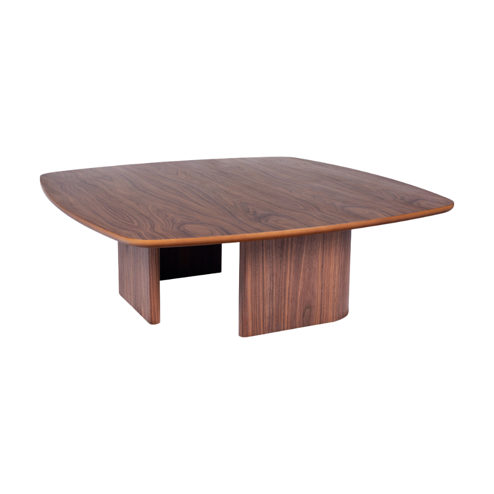 Mesa Amazônia Centro