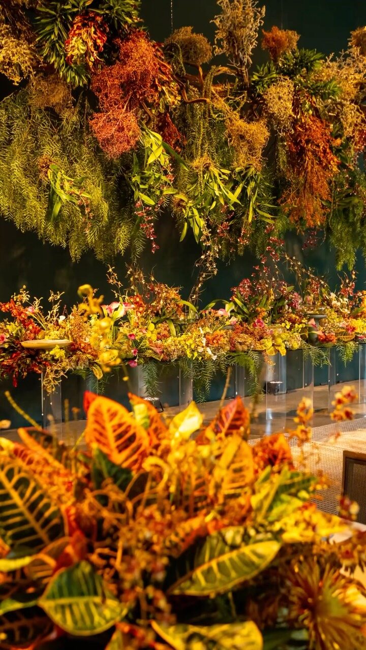 Instagram post from cemporcentoeventos. This post is in position 1.